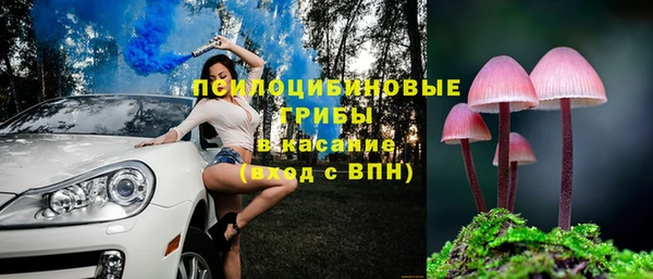 кристаллы Краснослободск