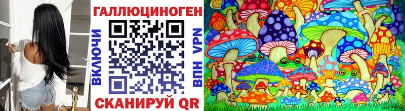 Псилоцибиновые грибы Psilocybe  MEGA ссылка  Ладушкин 